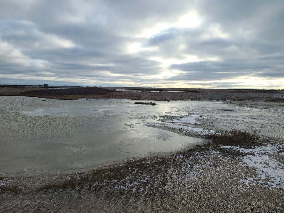 Churchill Manitoba Oct 2023 43